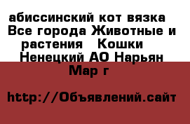 абиссинский кот вязка - Все города Животные и растения » Кошки   . Ненецкий АО,Нарьян-Мар г.